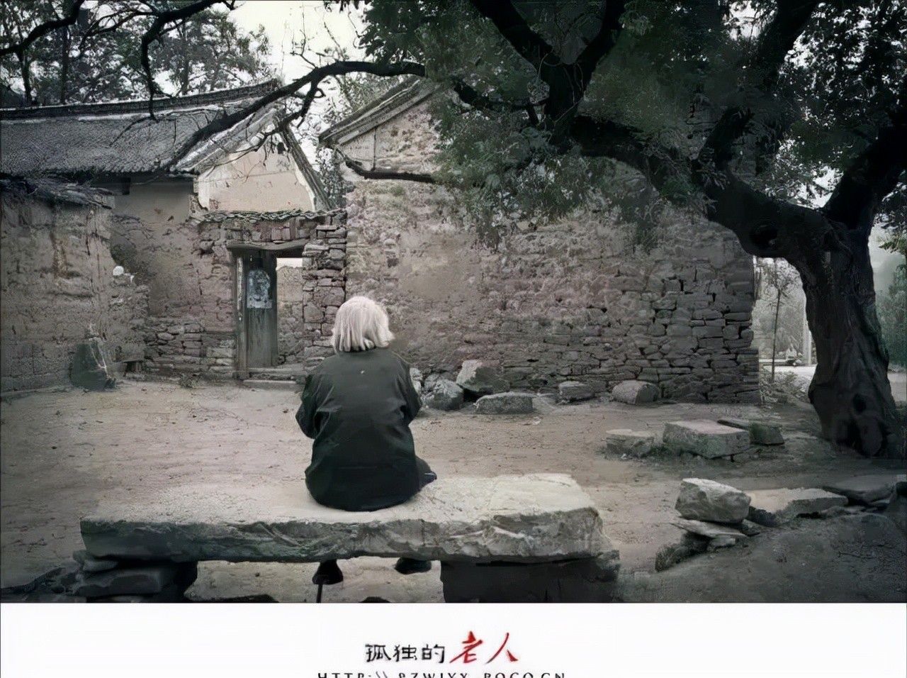 当我老了，我要这样过……