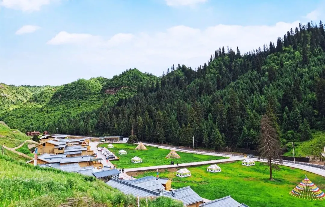 坚持生态优先 绘就时代新篇——“绿水青山就是金山银山”理念的甘南实践
