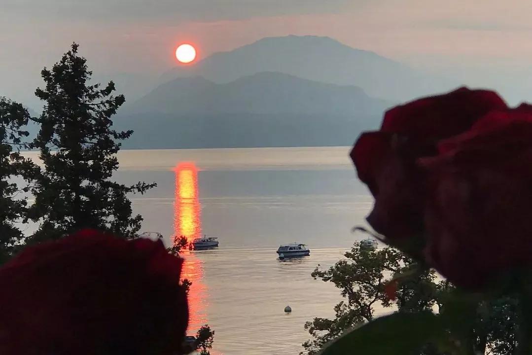 那些感到生活美好又值得的句子