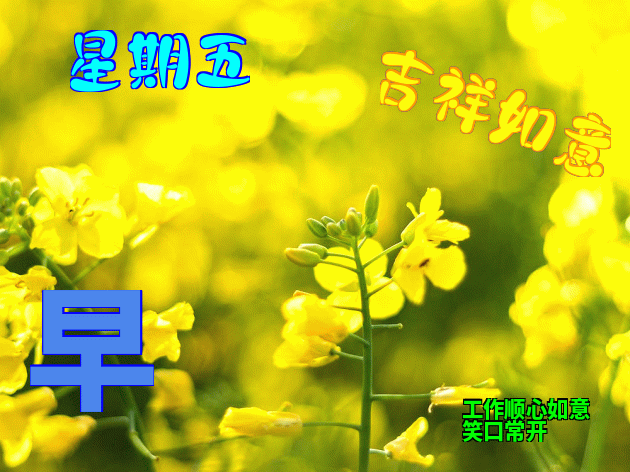 早上好祝福语 清晨报平安，传递幸福快乐，工作顺心如意、笑口常开图片