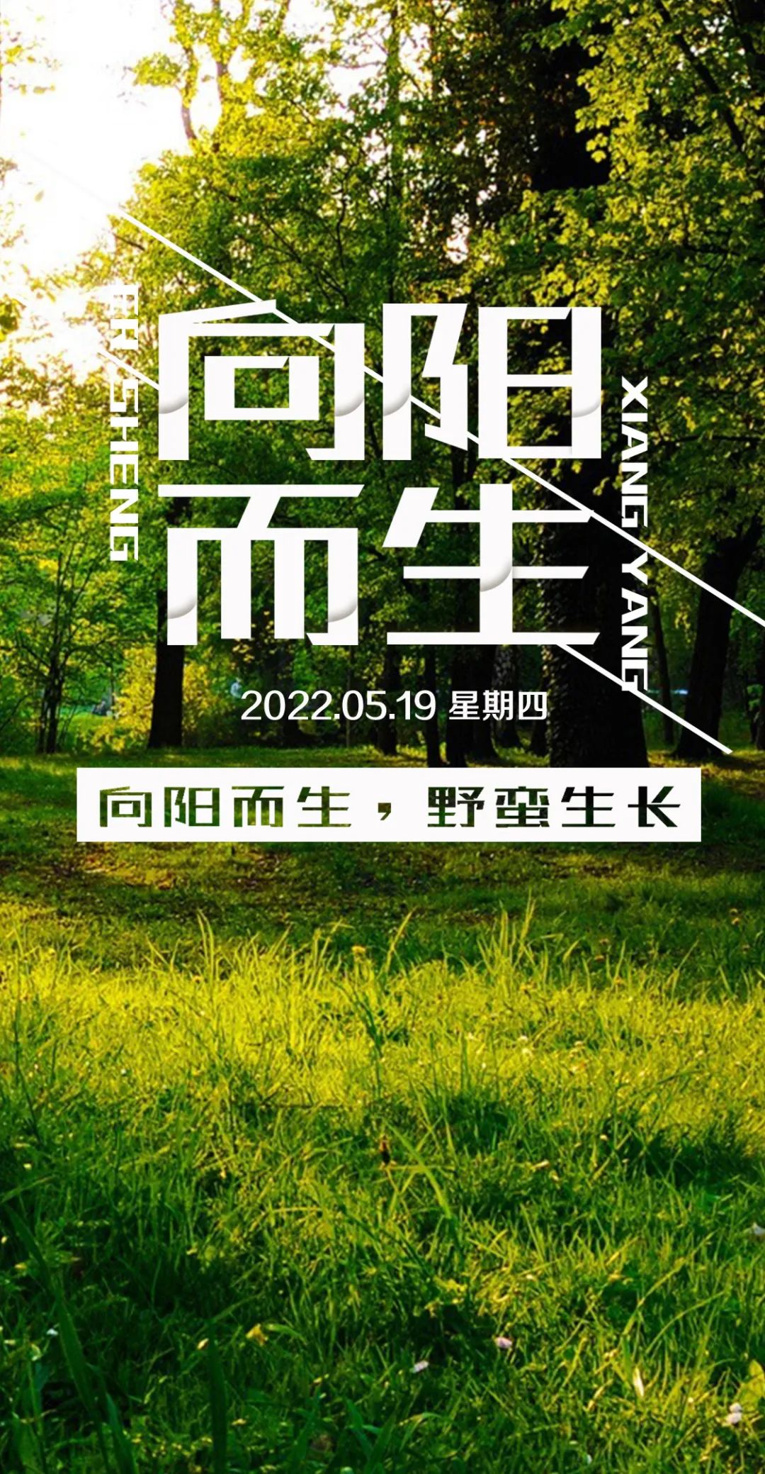 「2022.05.19」早安心语，正能量简单语录句子，治愈励志文案短句