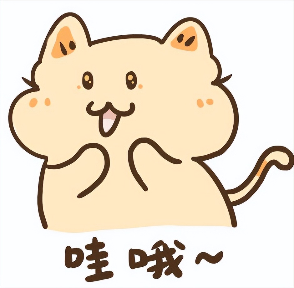 厦门小升初方案公布！岛内新增三所公办初中，划片微调！首设民办校报名系统