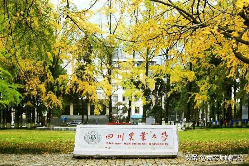 四川农业大学与华南农业大学，一个211一个全国重点，哪个更强？