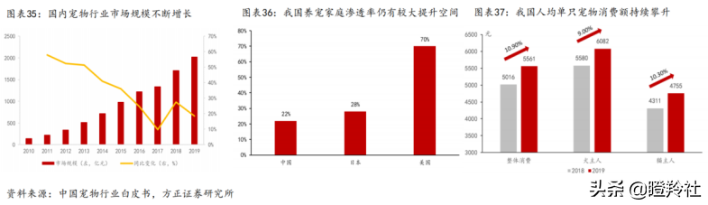 价格飞涨，一针难求！被垄断的百亿蓝海赛道，国产厂商带头突围？