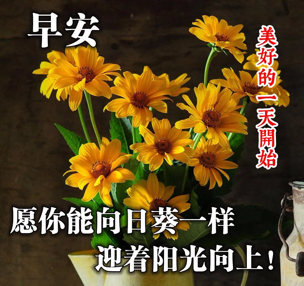 微信早上好祝福语，愿你福气满满，好运连连，新的一天阳光朝气图片