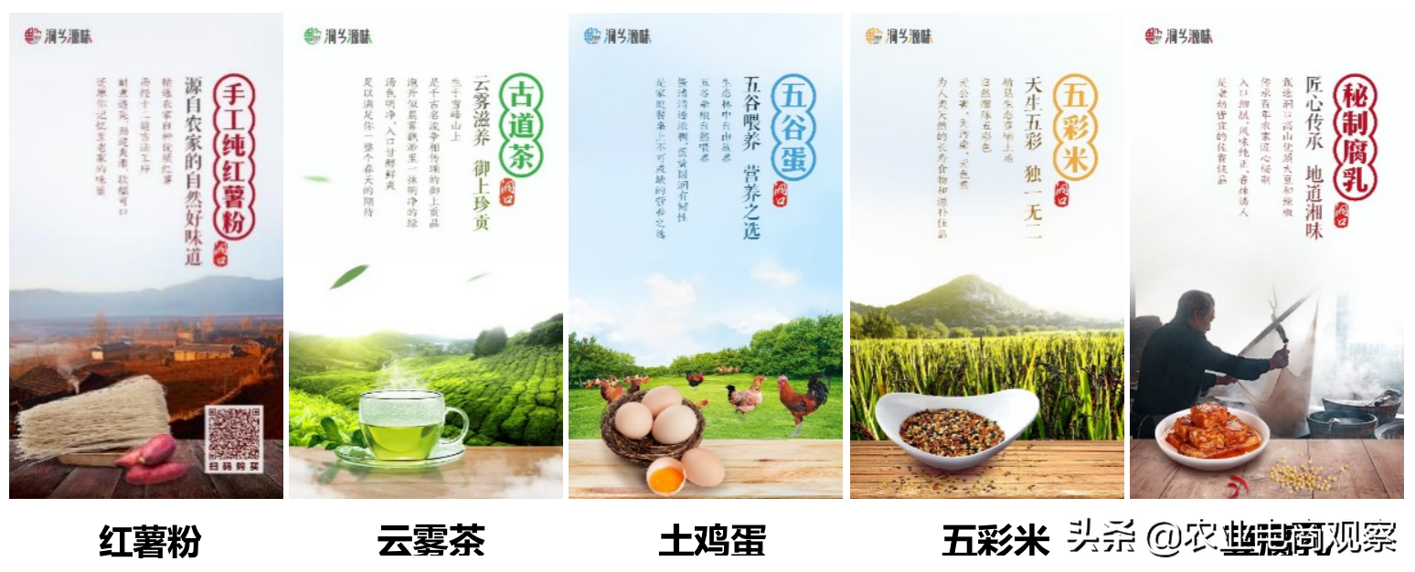 如何从0至1打造县域农产品区域公用品牌——记湖南洞口县案例