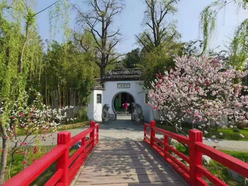 青门引·清明节