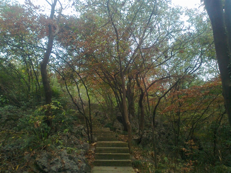 醉美西湖：春夏秋冬，雨雾晴雪，你都能看到西湖不一样的美