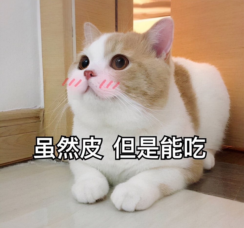 常见名字:牛奶,布丁,蛋糕,汤圆,冰淇淋,麻辣烫,火锅,花卷,馒头,蛋挞