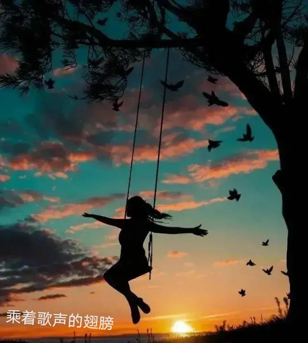 光与影的完美契合，守着夕阳，守望美好生活