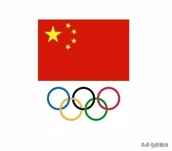 2022世界杯成员(2022年北京冬奥会中国代表团运动员大名单确定，收藏这份观赛指南)