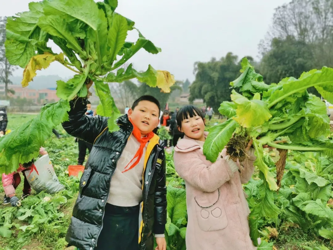 「城南小学•德育工作」小基地大收获 劳动实践快乐多
