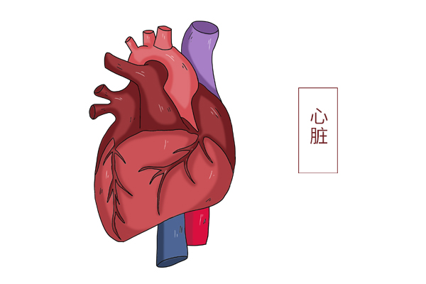 研究：黑巧克力可降低心髒病風險，但吃多了也有害，該怎麼吃？