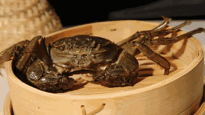 活煮螃蟹太残忍？英国科学家发现：螃蟹能感知疼痛，呼吁别活煮