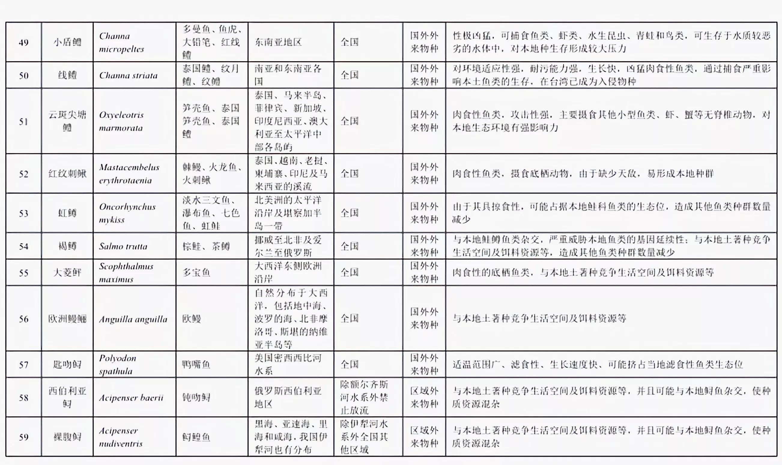 铁背鱼长什么样，95种禁放水生物图片介绍