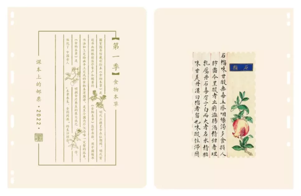 边玩边涨知识！给姐姐预订的新年礼物，强烈推荐给大家