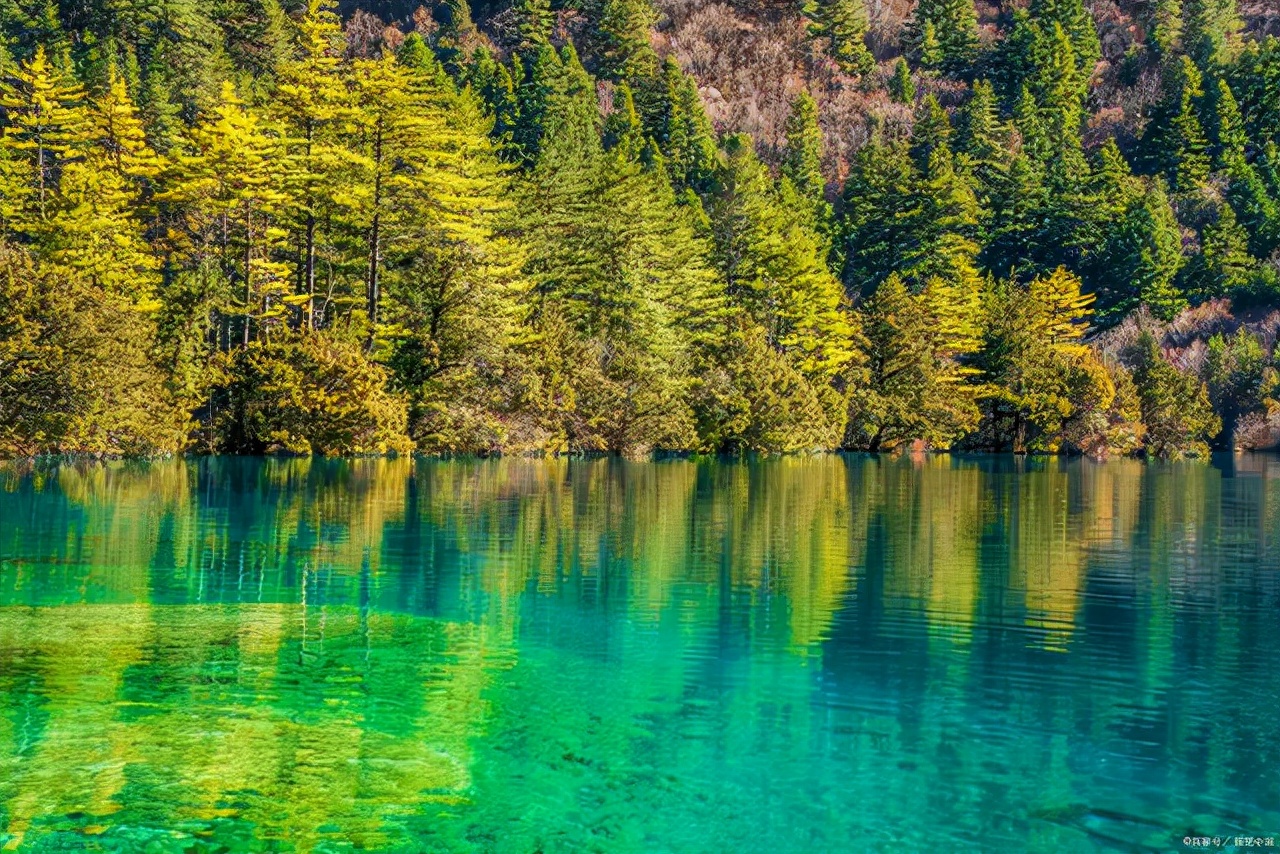 四川省大学排名2017最新排名（四川高校排名出炉）