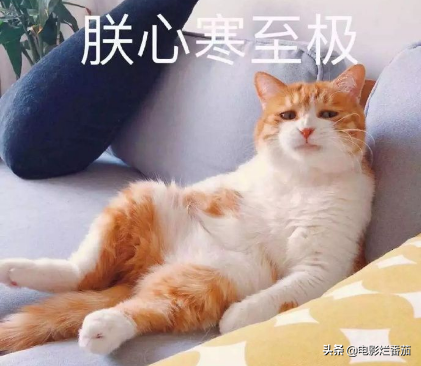 Baby离婚后首个生日遇冷,生日已成为娱乐圈人情冷暖的“试水池”