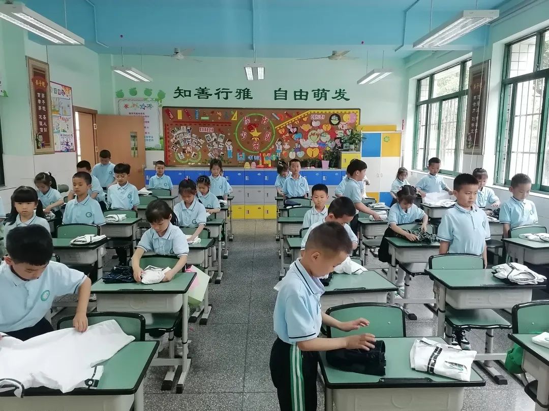 南湖小学一年级结合学生实际情况开展丰富多彩的劳动教育实践活动