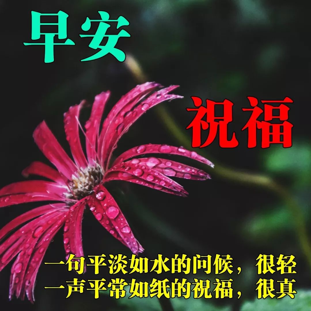 周三经典早安吉祥问候语动态表情包 繁花似锦、发财顺心图片