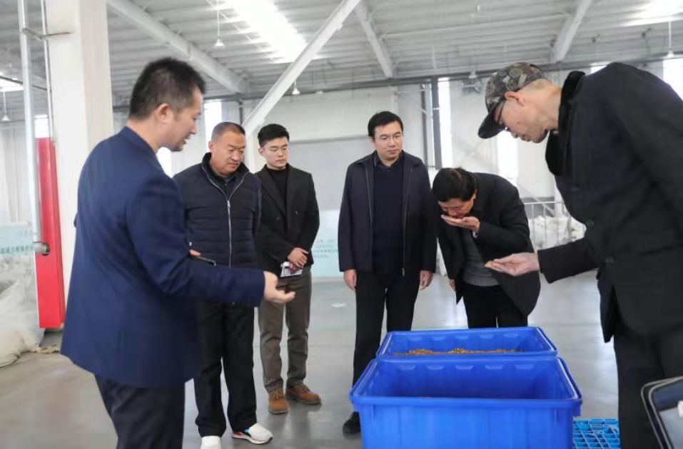 郑城镇组织开展省派第一书记现场观摩活动