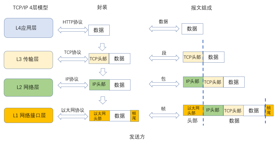 28 张图详解网络基础知识：OSI、TCP/IP 参考模型（含动态图）