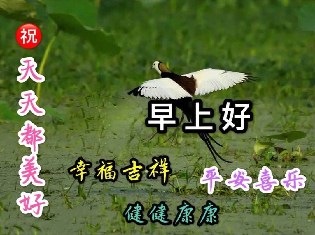 微信精选朋友圈唯美早上好祝福图片大全 一切都美好、幸福吉祥图片