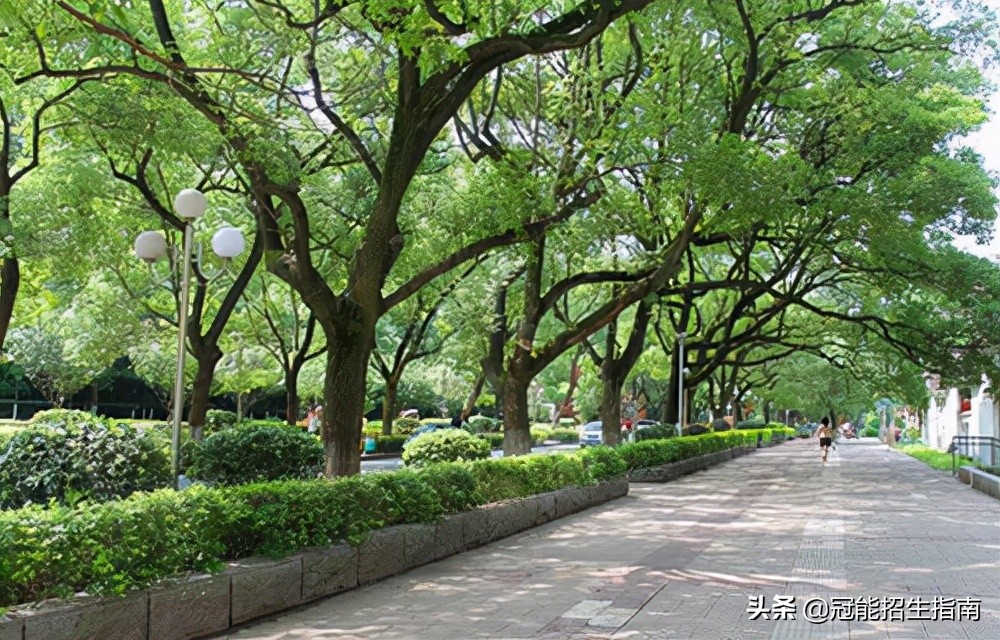 成都有哪些职业学校（成都热门的职业学校有哪些）