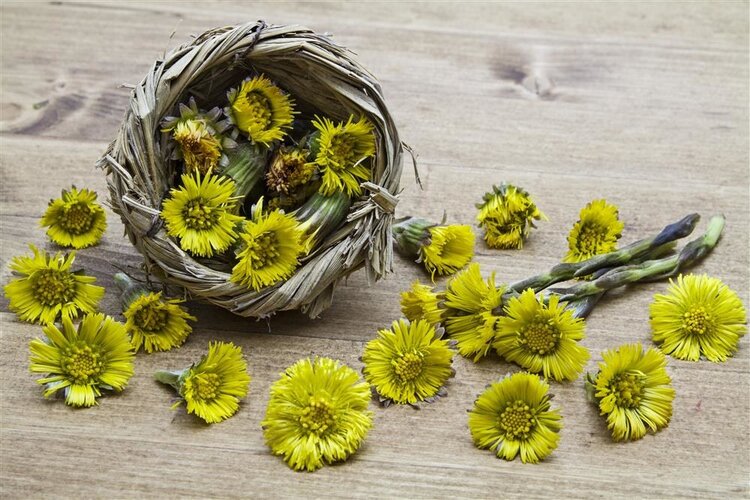 你为什么总是容易上火？肺火、心火、胃火、肝火、肾火，怎么治？