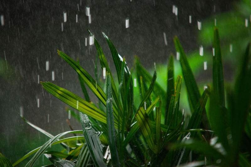 二战中最后一个投降的日本兵，不信日本战败，丛林中坚持战斗29年