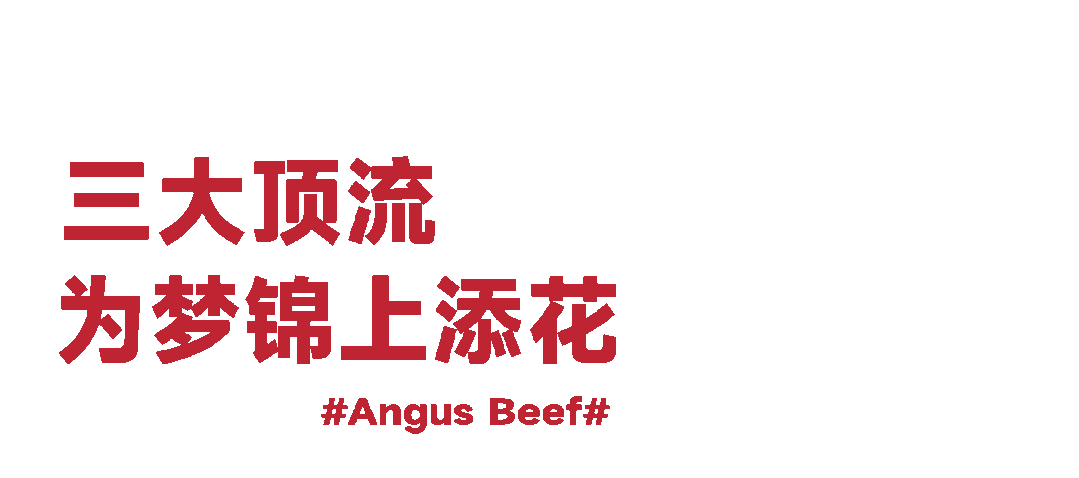 用世界Top级牛肉做披萨，这家店疯了吗？