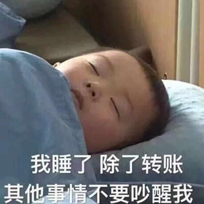 表情包除了转账，其他事情不要叫醒我