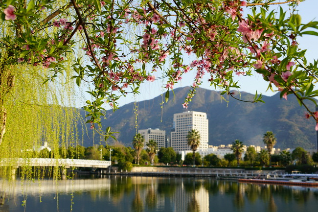 新增专业招生达397人，温州大学2022年艺术类录取需多少分？