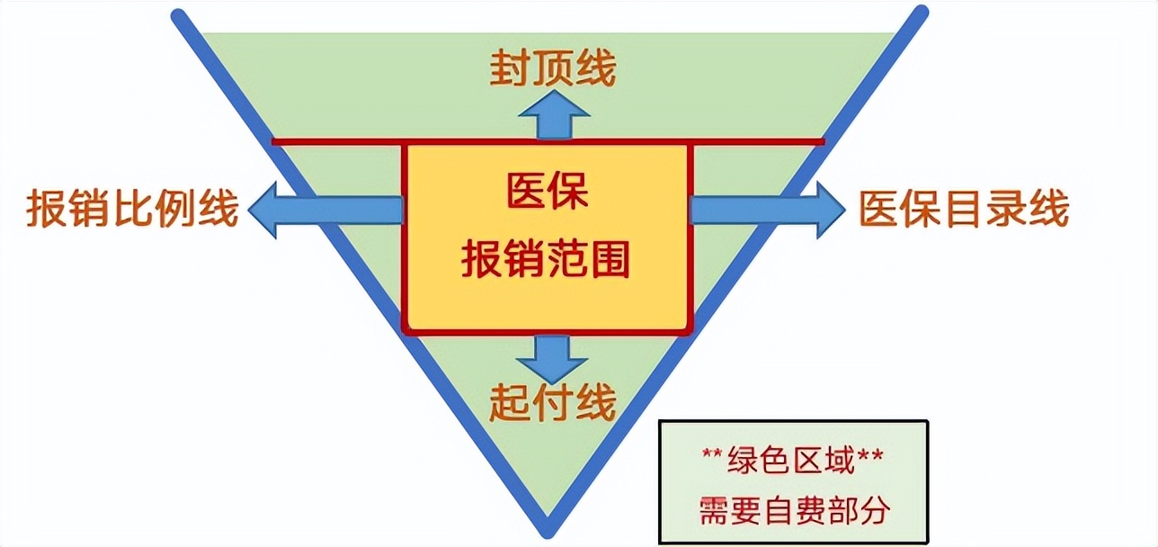 每个月都交的医保，你知道它能报什么吗？记住这四条线，一次搞懂