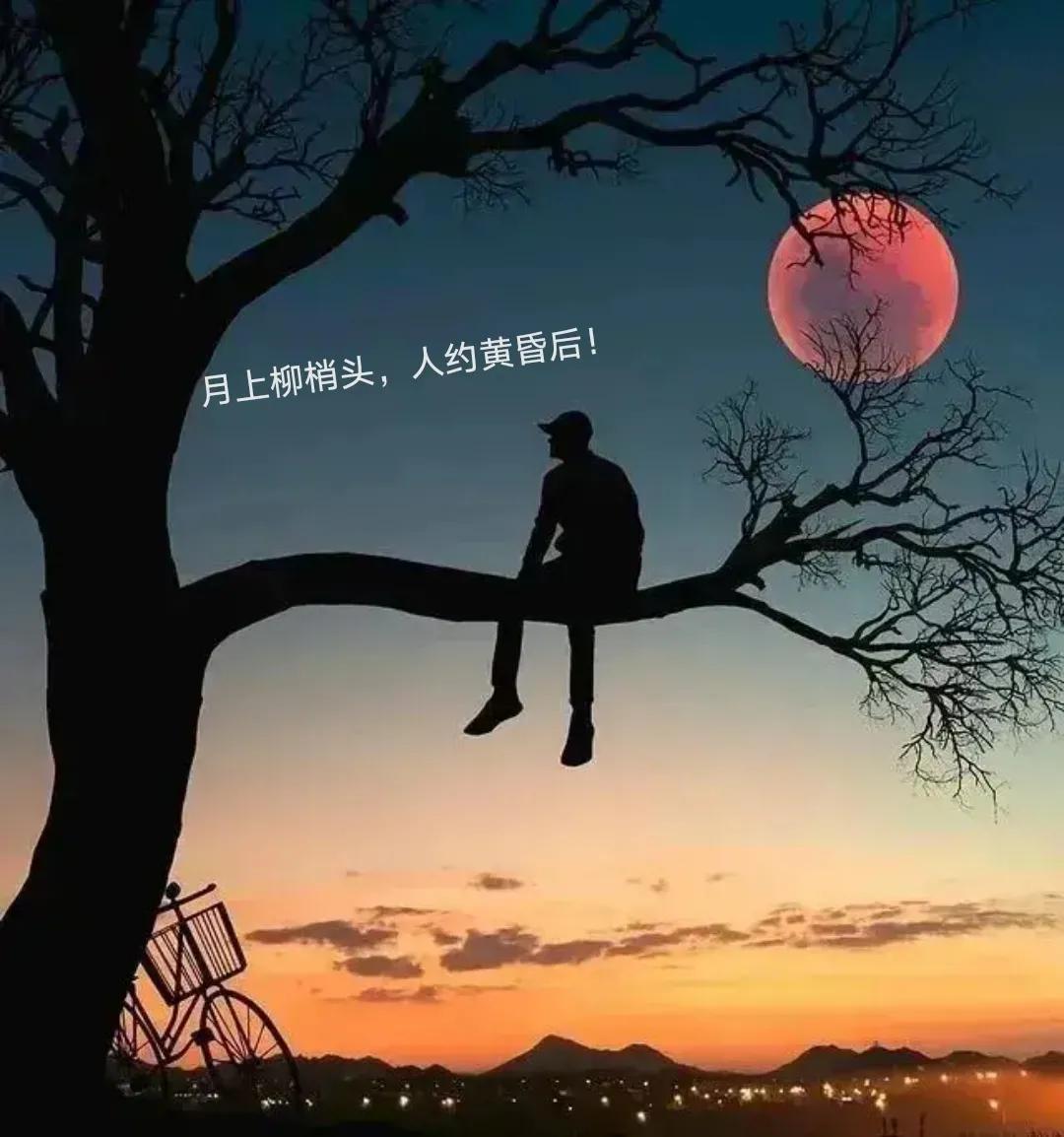 光与影的完美契合，守着夕阳，守望美好生活