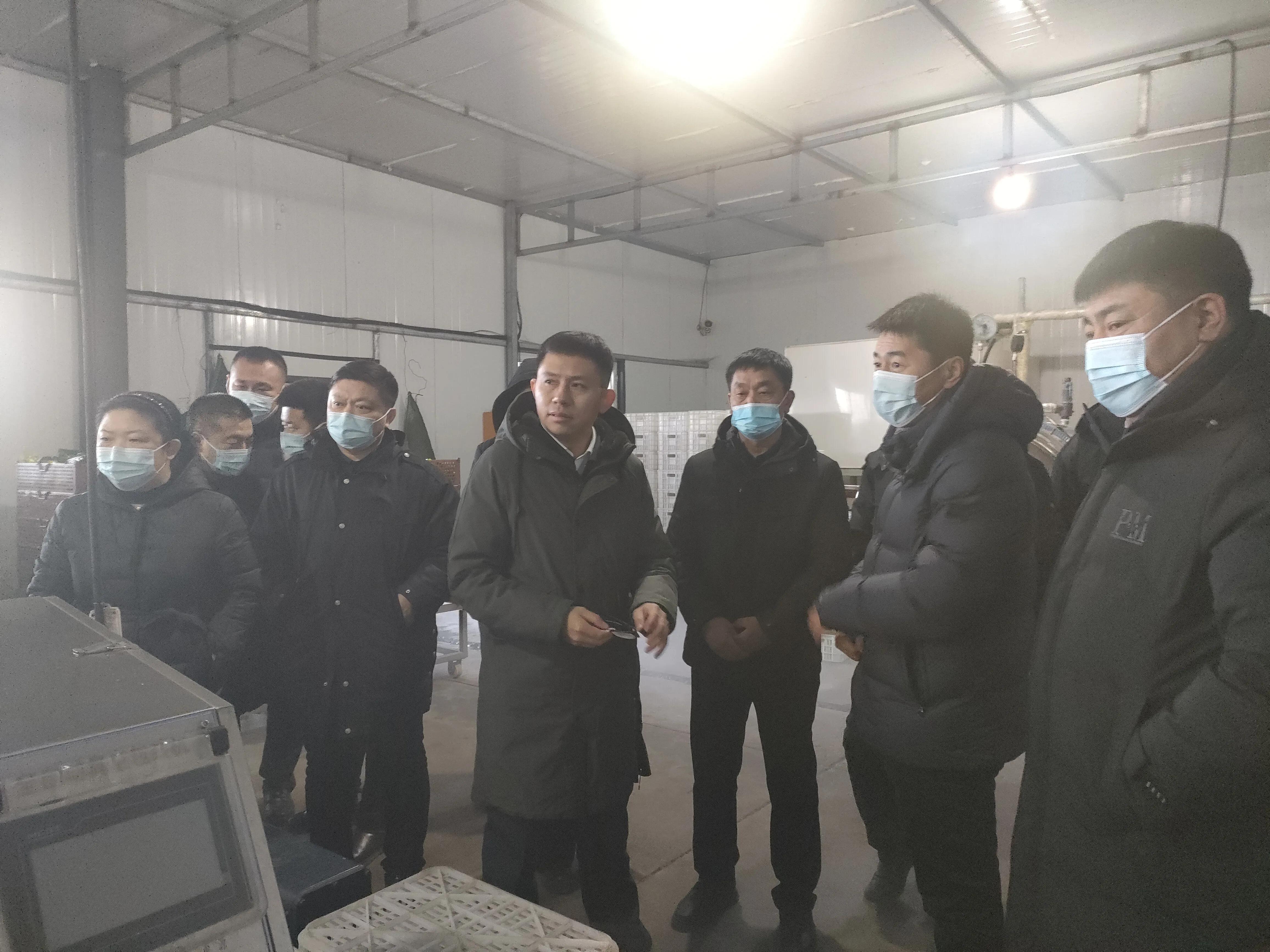 饶河县委副书记张成亮带队深入宝清县夹信子镇调研产业项目