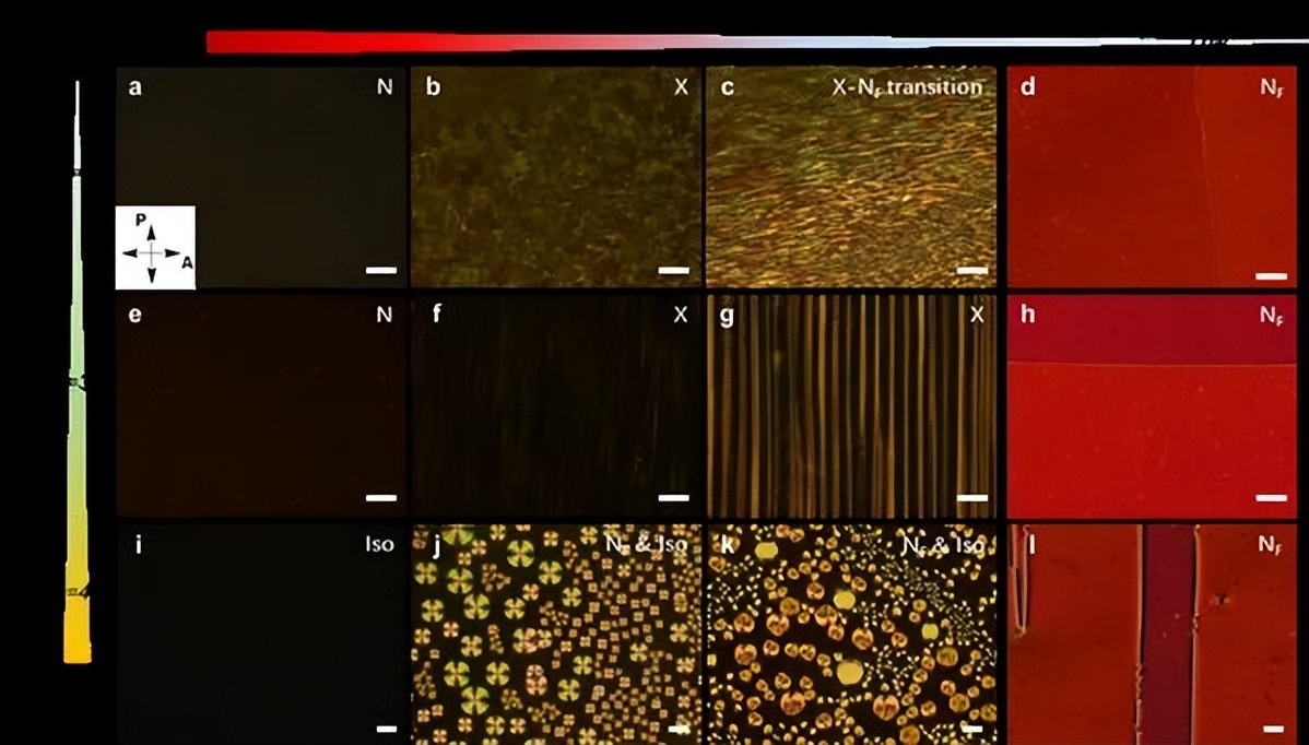 华南理工黄明俊、谢晓晨团队在铁电材料研究获系列进展