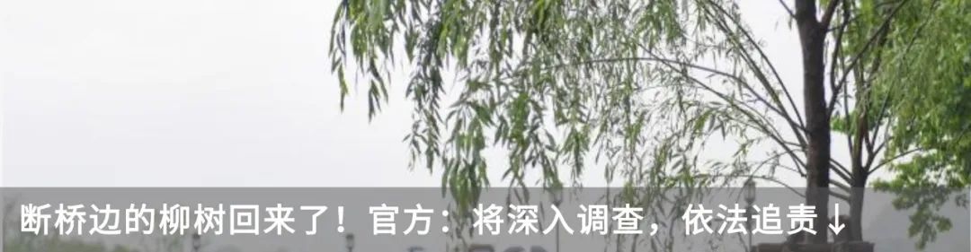 房贷政策放大招！买房能省多少钱？杭州人最关心的问题来了