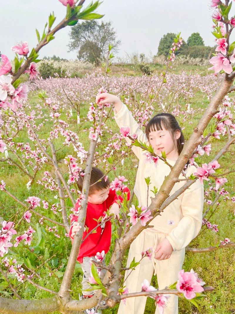 黄甲小学开展“人人参与科技节，我的科技节我做主”科技节活动