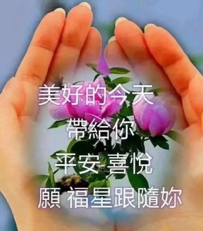早上好祝福语大全，早上好问候语表情包更新 平安喜悦，福星跟随你图片