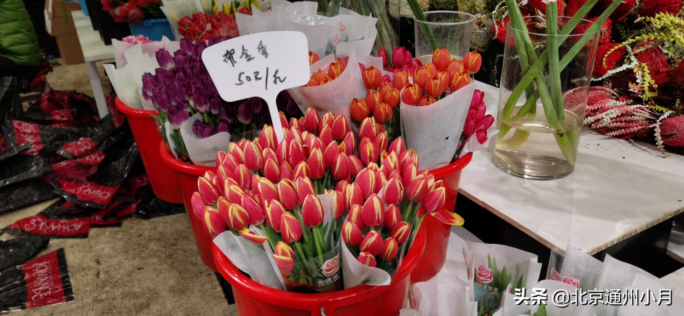 北京花卉批发市场都有哪些地方，北京花卉市场种植基地