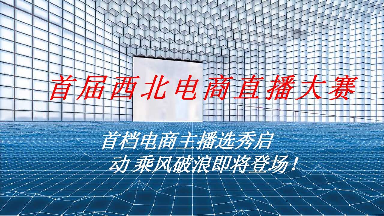 京东电商首届西北电商直播大赛活动策划方案「PPT」「132P」