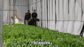 新华全媒+｜“Z世代”的种植达人是怎样炼成的？