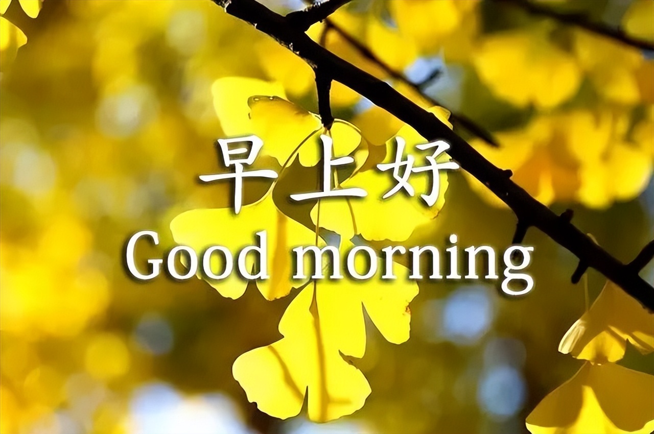新的一天早安心情说说句子 心素如简，人淡如菊 君子相交，随方就圆图片