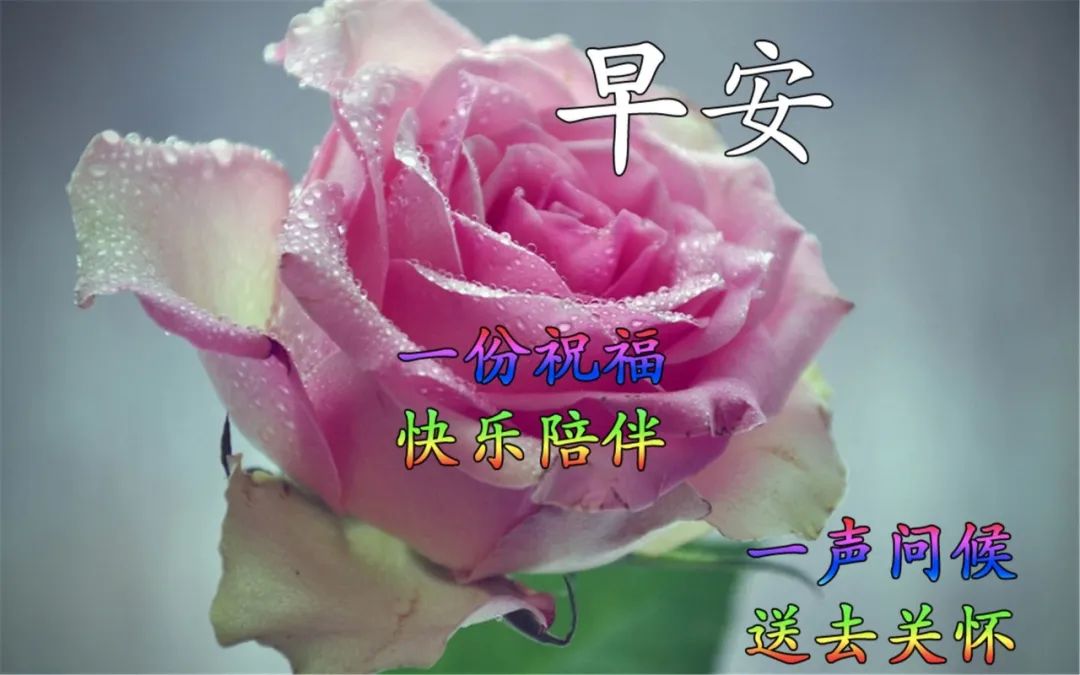 朋友圈春天早上好问候语表情图片大全 愿幸福安康、心想事成图片