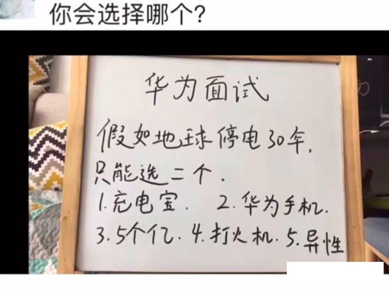 主人把我带出来干什么，这难道让我看着你们约会吗