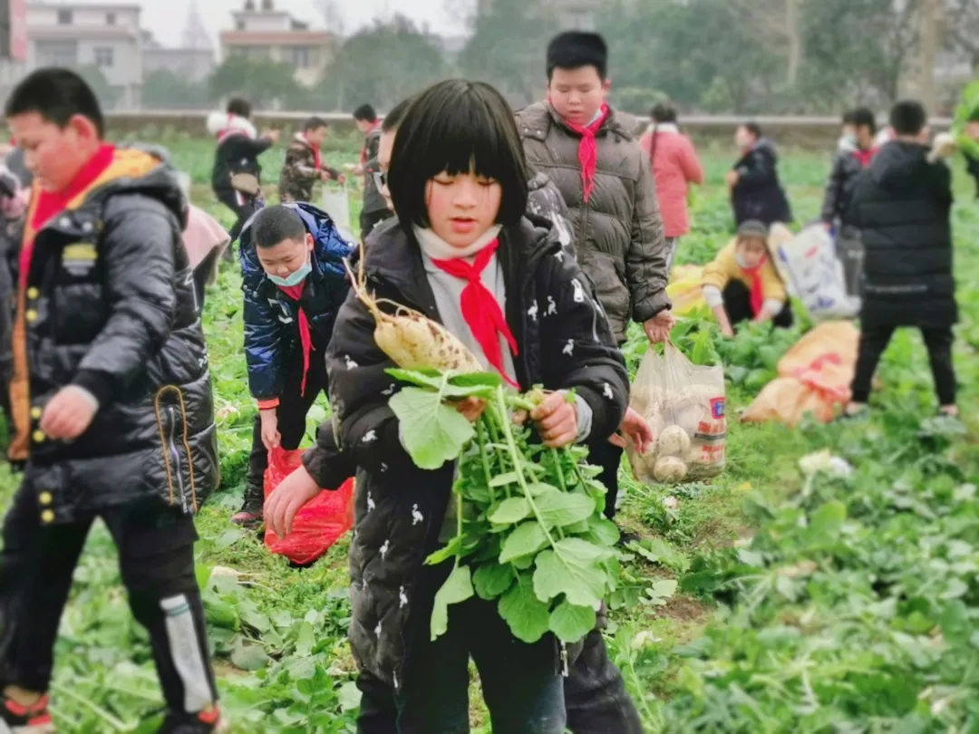 「城南小学•德育工作」小基地大收获 劳动实践快乐多