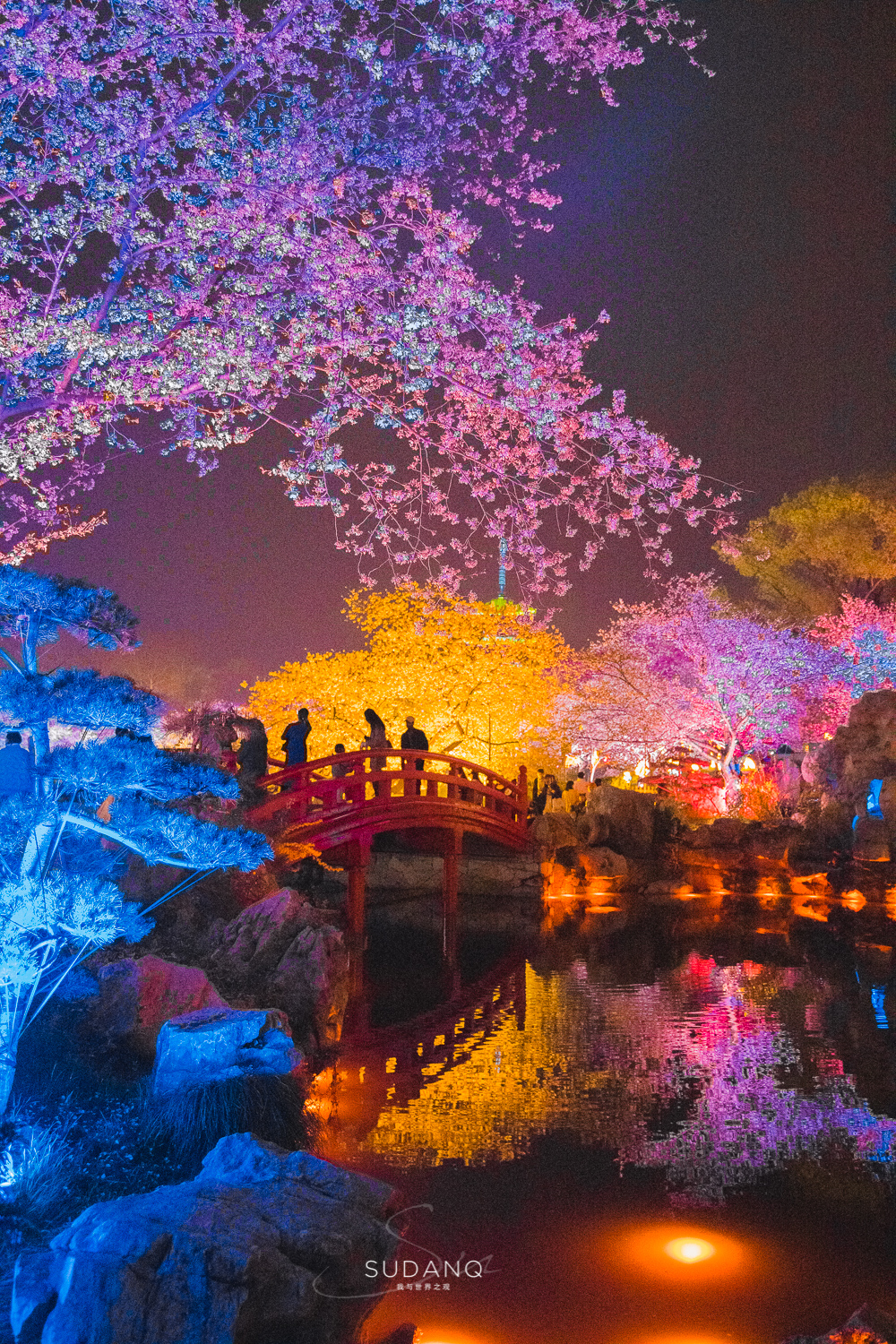 东湖夜樱，想不到的武汉之美！日本赏樱文化起源于中国的赏梅习俗