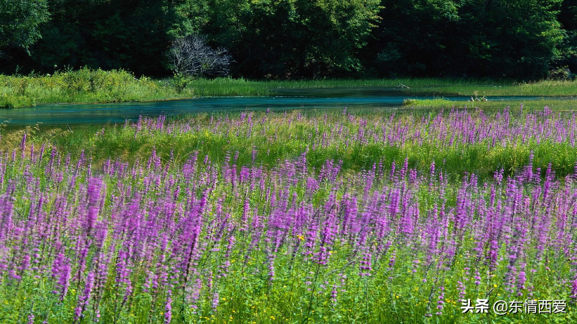 舍不得删除的伤感句子，句句戳心痛处，让人忍不住泪流
