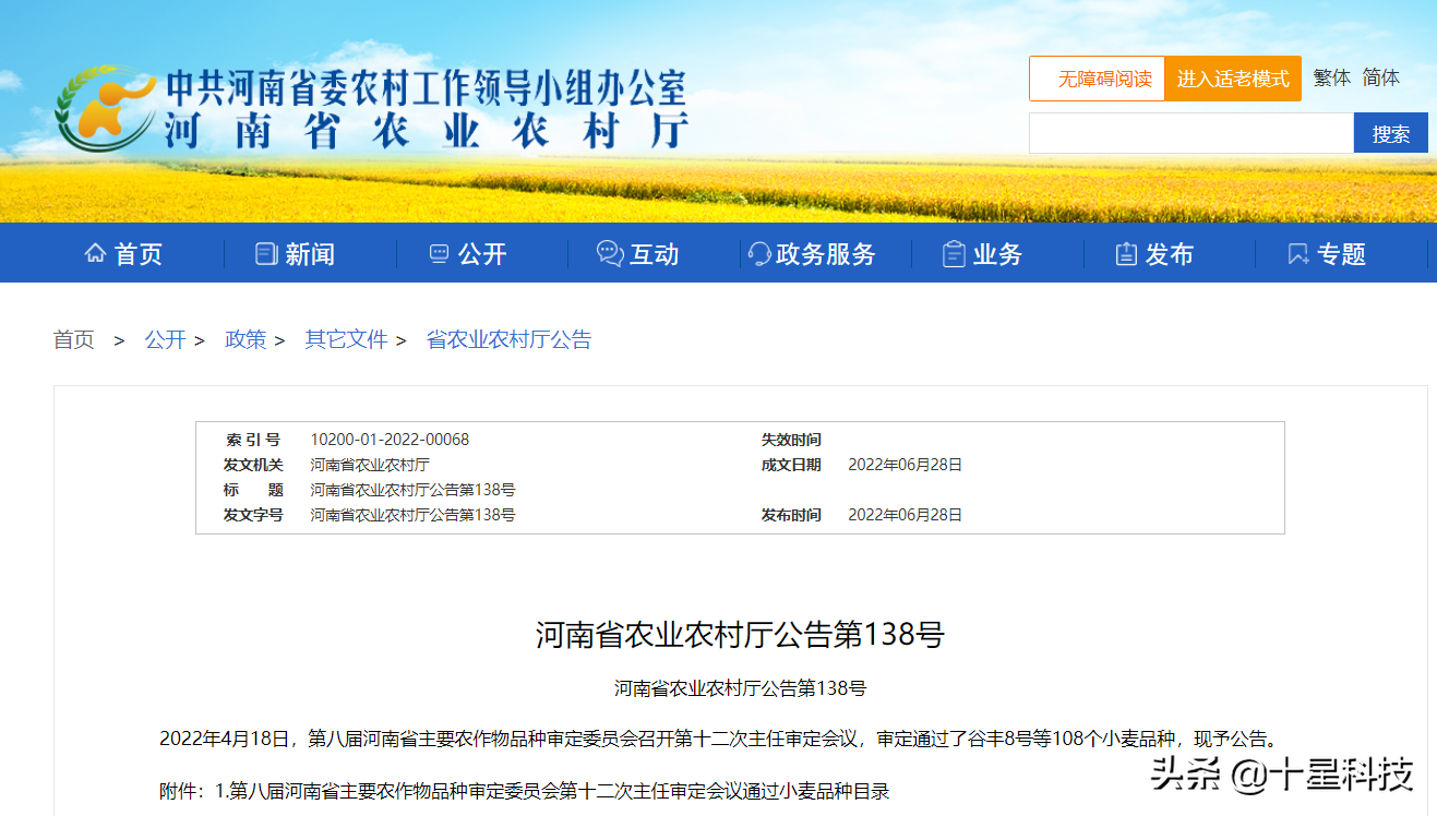 河南8个抗病小麦品种，来啦！无高感病害“保底”抗减产